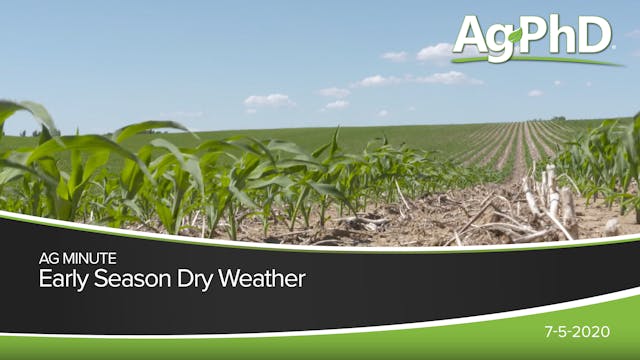Early Season Dry Weather | Ag PhD