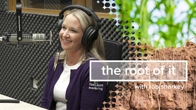 Erin Dickson | The Root of It