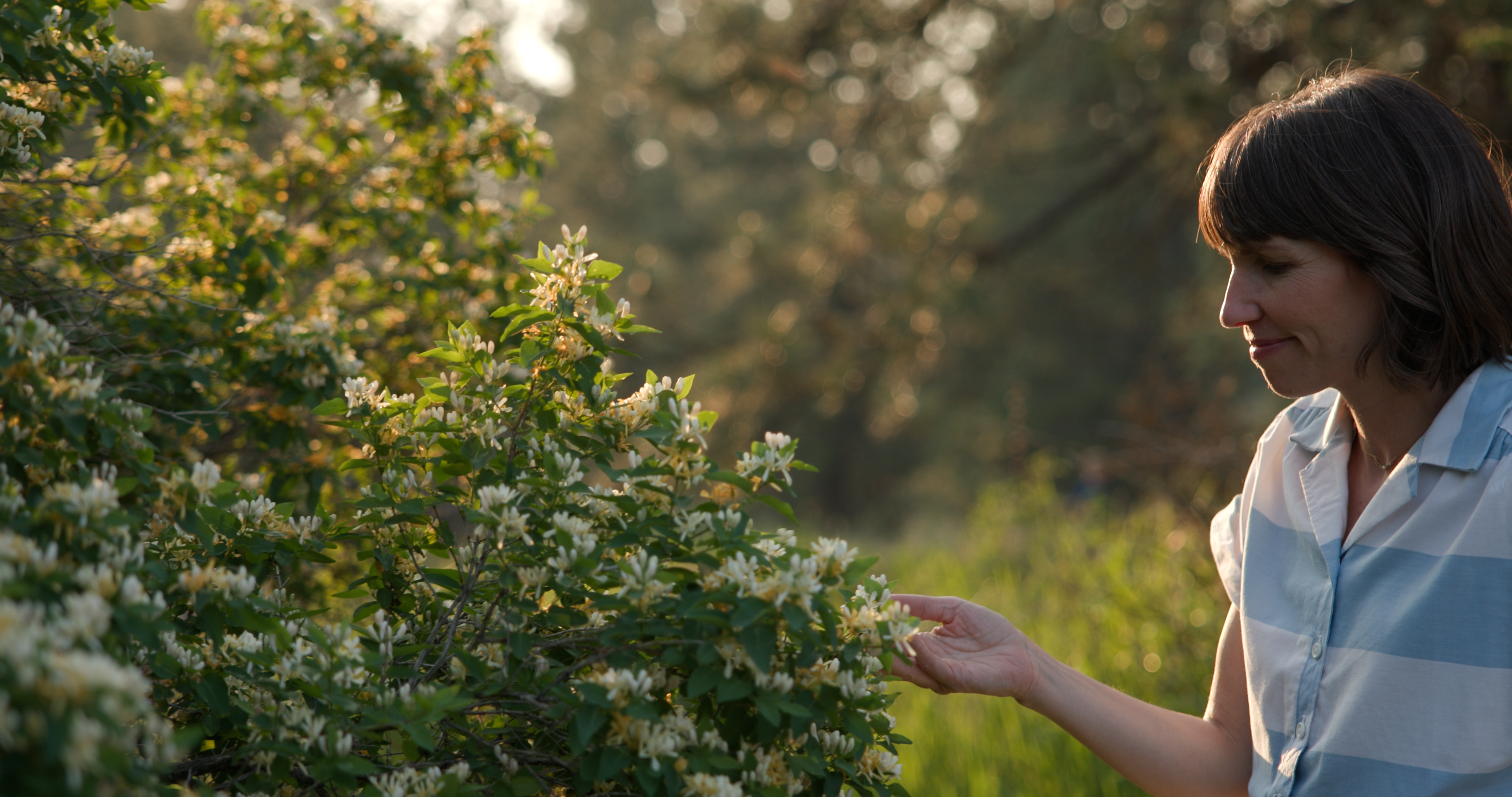 A Parade of Lilacs | Follow the Blooms | Episode 2