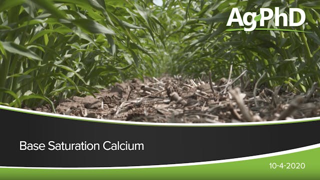Base Saturation Calcium | Ag PhD