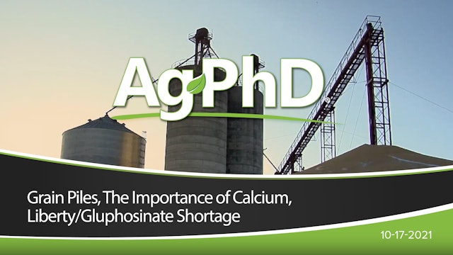 Grain Piles, The Importance of Calcium, Liberty/Gluphosinate Shortage