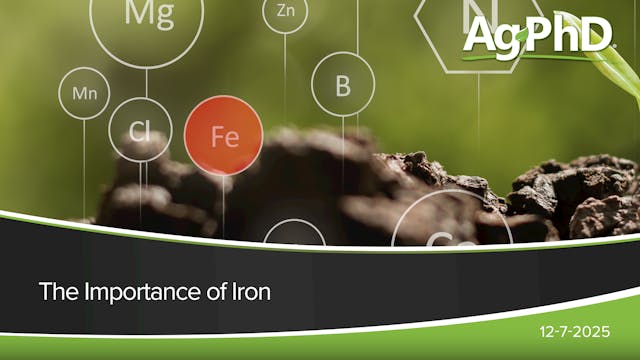 The Importance of Iron | Ag PhD
