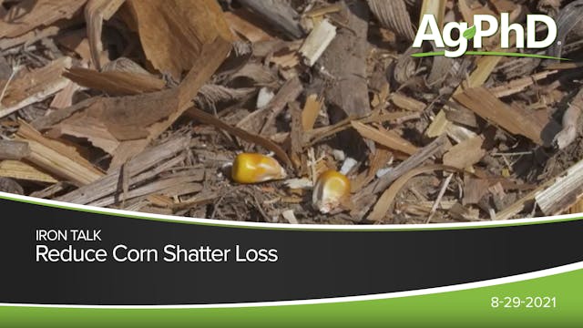 Reduce Corn Shatter Loss | Ag PhD