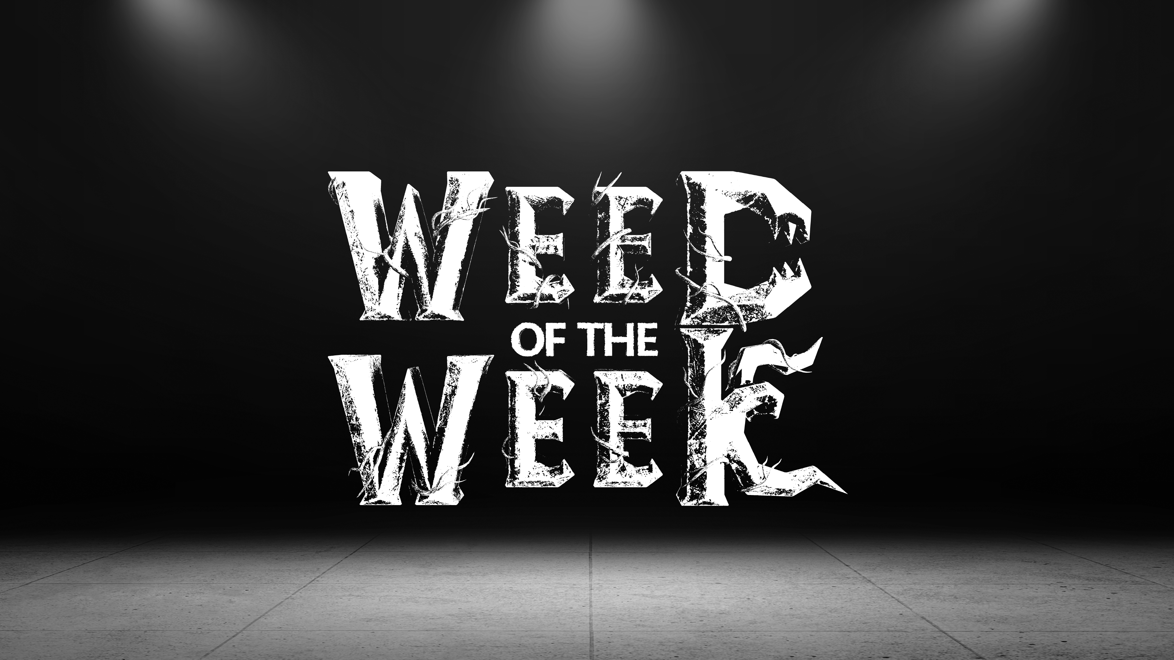 Ag PhD Weed of the Week