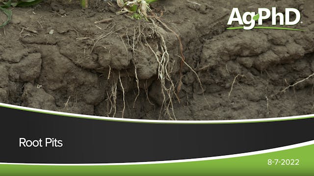 Root Pits | Ag PhD