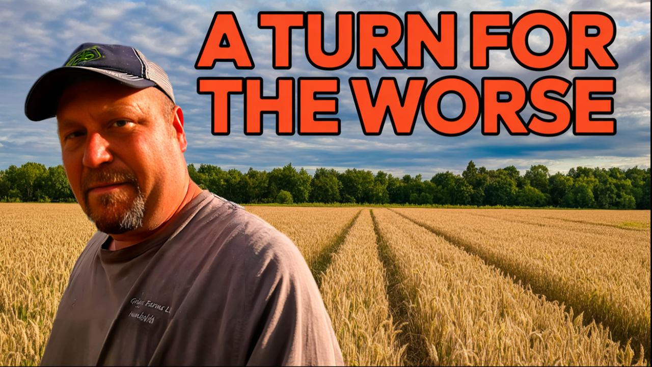 Things Have Taken A Turn For The Worse | Griggs Farms