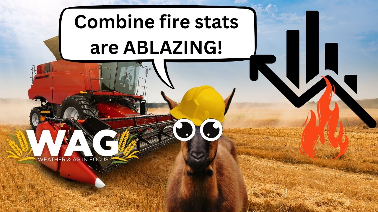 Combine Fire Stats Are Ablazing! | WAG In Focus 10/17/23