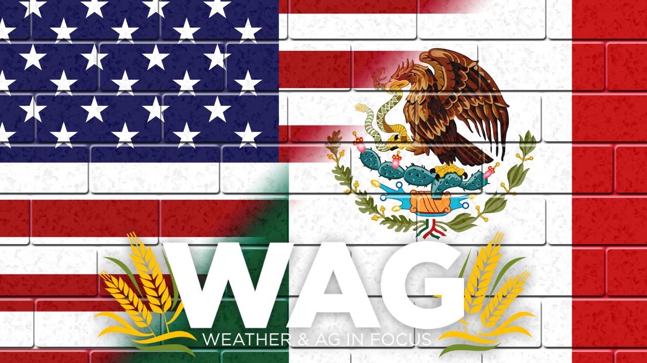 Rancher speaks out on the Border Crisis - WAG In Focus - 1-12-23