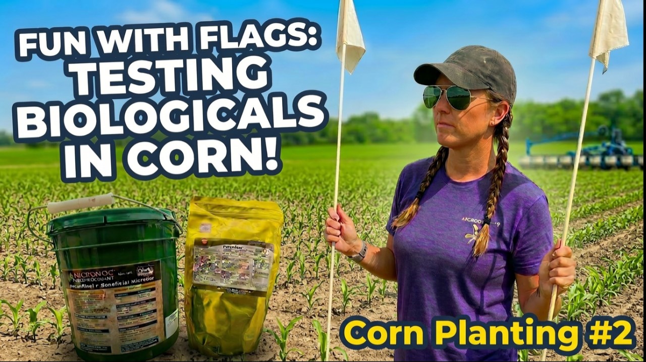 Let's Test Some Bugs in a Jug!  Corn Planting #2 | Griggs Farms