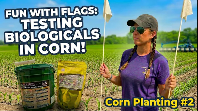 Let's Test Some Bugs in a Jug!  Corn ...