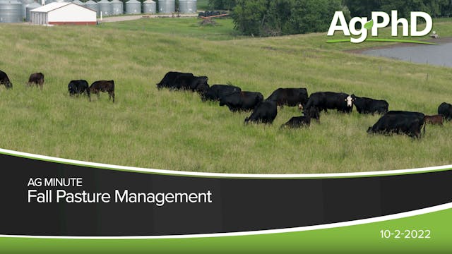 Fall Pasture Management | Ag PhD