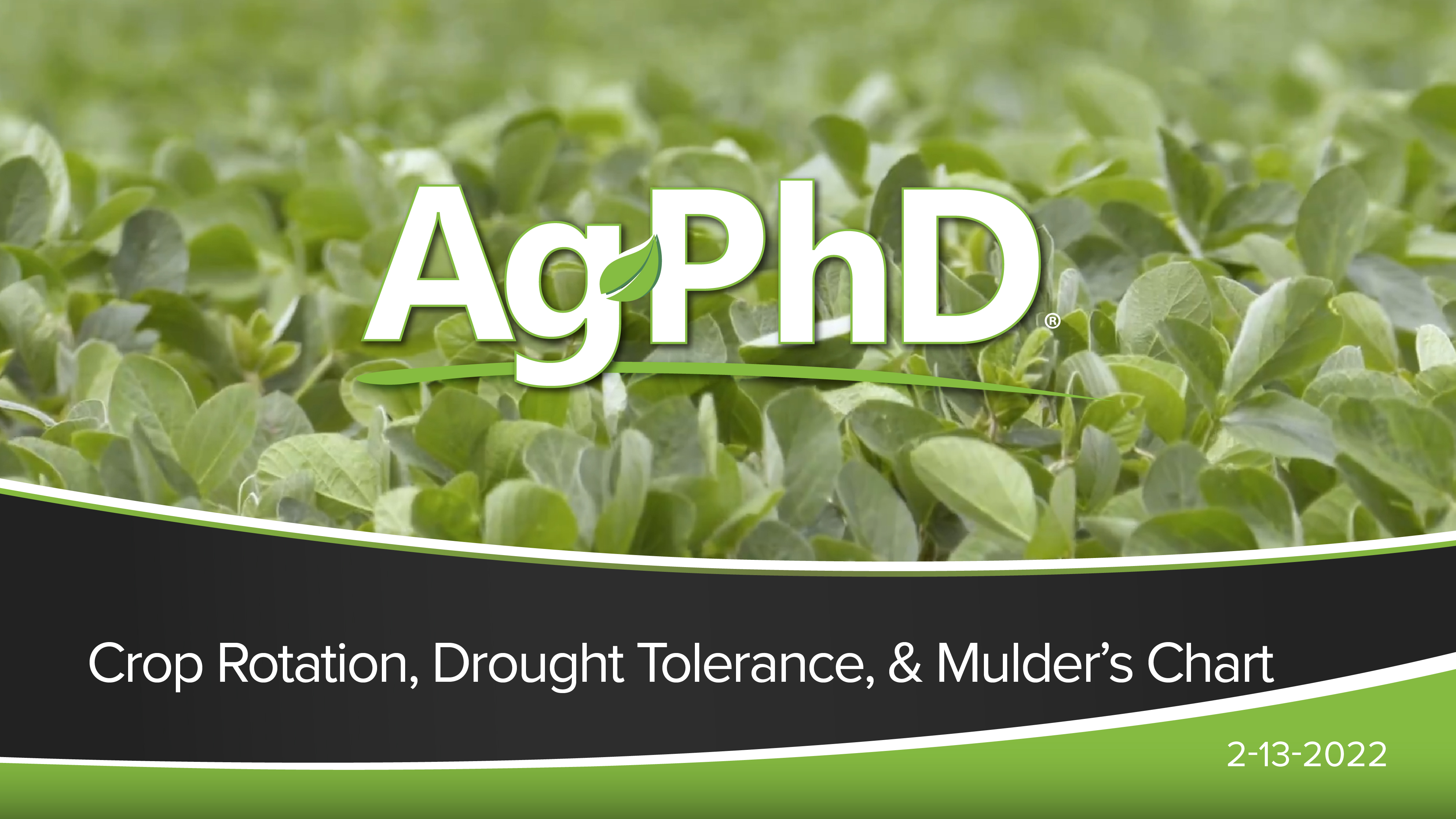 Crop Rotation, Drought Tolerance, Mulder's Chart | Ag PhD