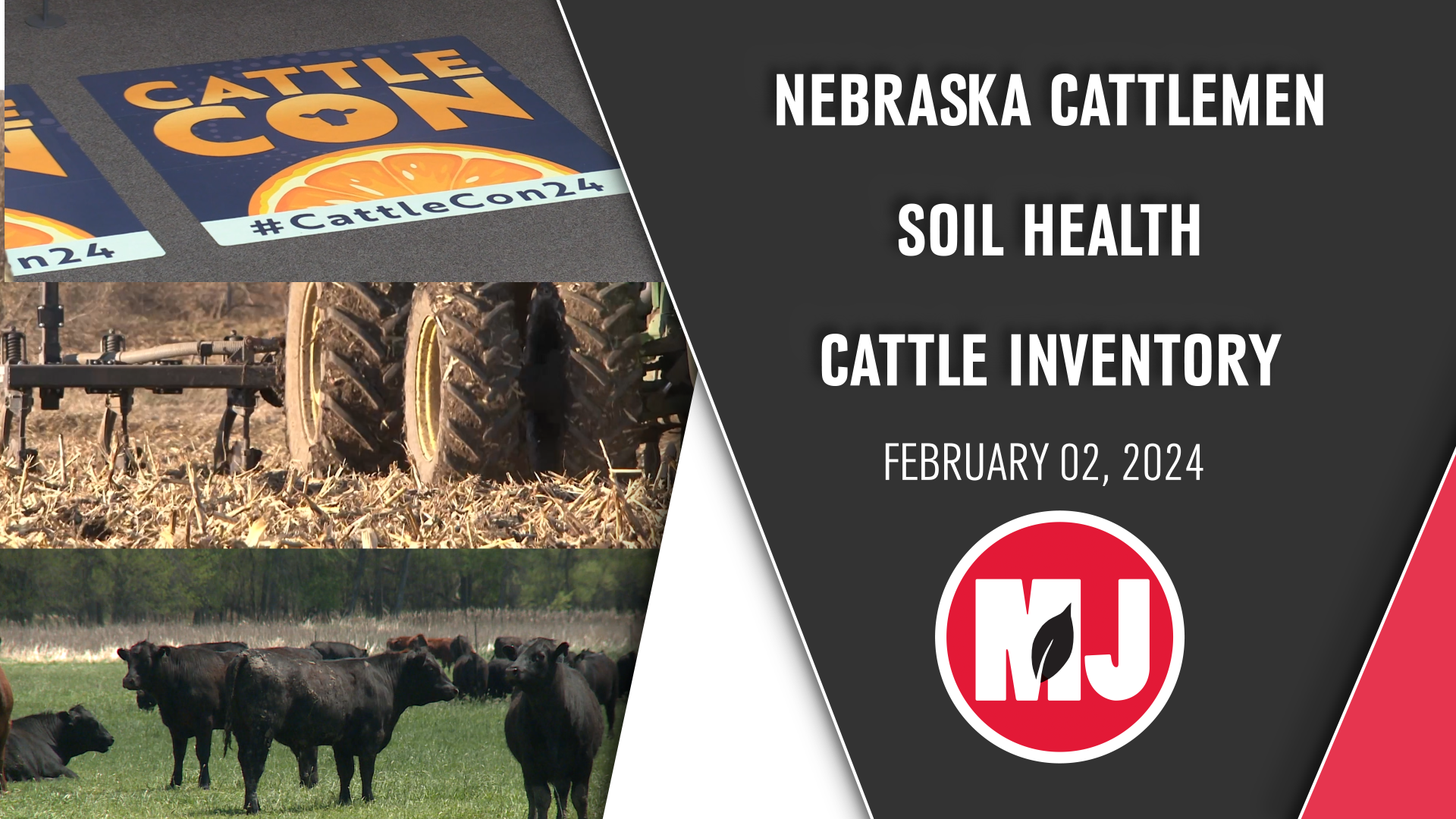 February 02, 2024 | Market Journal