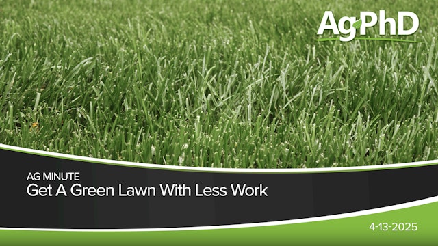 Get A Green Lawn With Less Work | Ag PhD