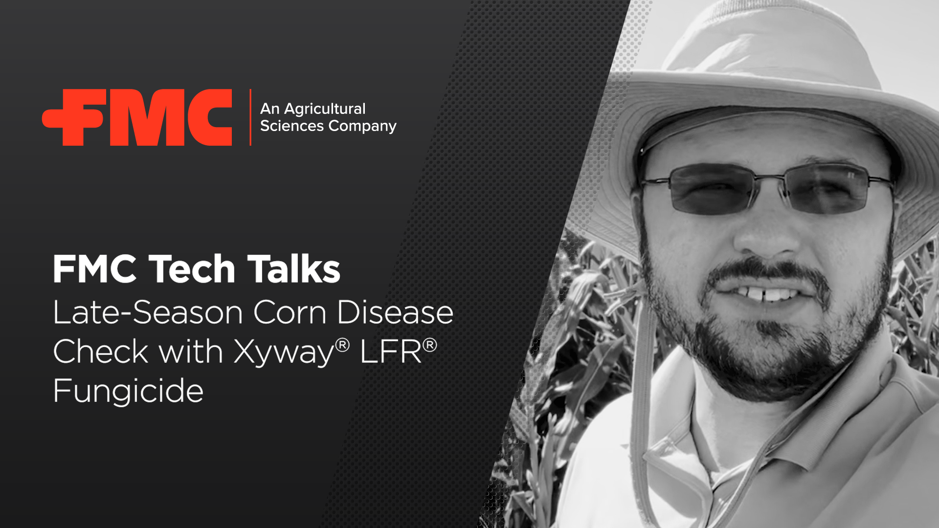 Late-Season Corn Disease Check with Xyway® LFR® Fungicide | FMC