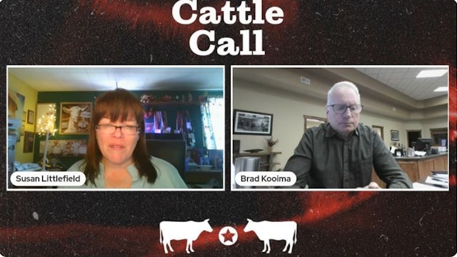 Cattle market digesting latest HPAI chatter | Cattle Call