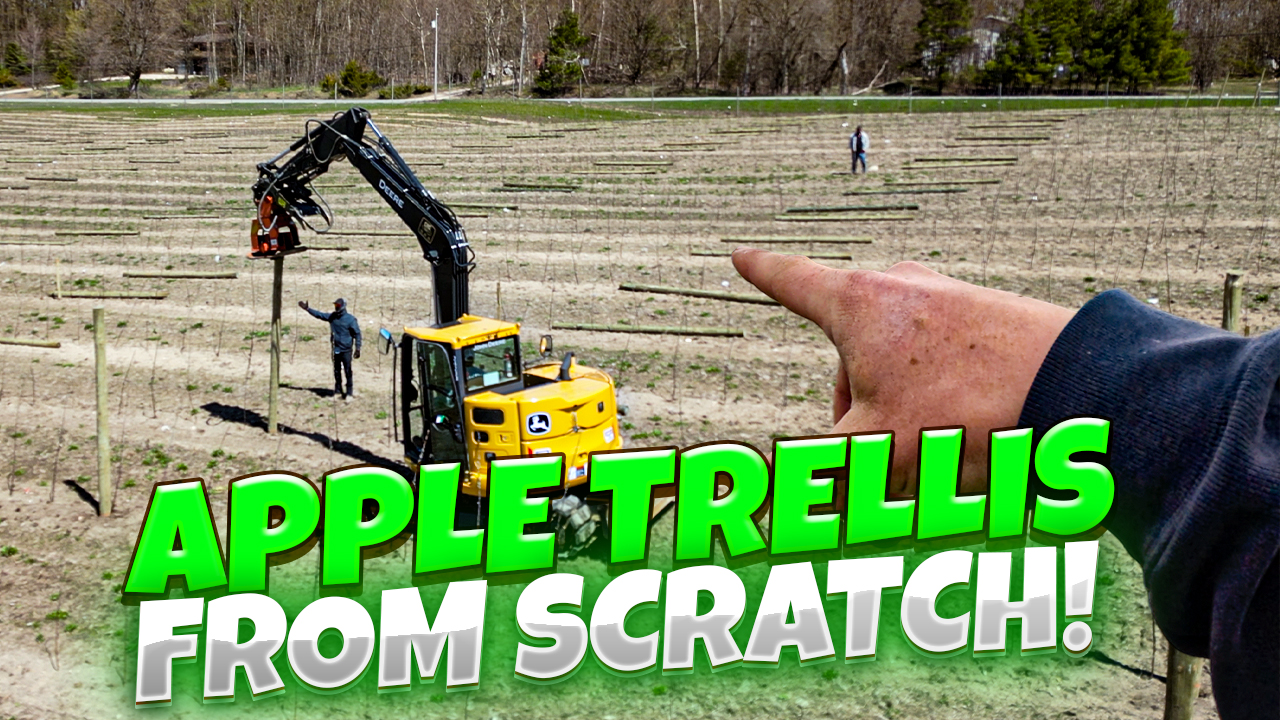 WATCH How I Built Our Apple Trellis!! Part 1! | Pomes and Stones