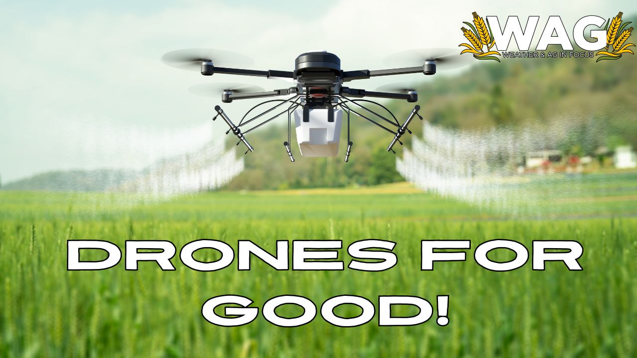 Drones For Good! | WAG in Focus 3/11/24