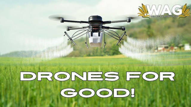 Drones For Good! | WAG in Focus 3/11/24