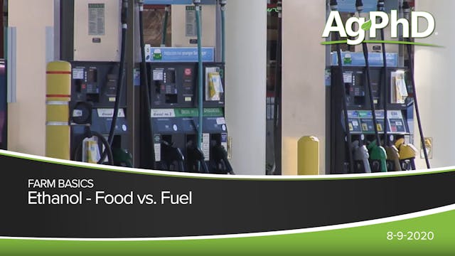 Ethanol - Food vs. Fuel | Ag PhD