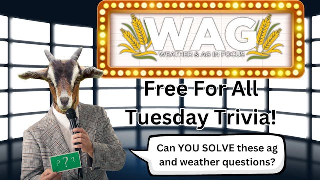 Free For All Tuesday Trivia! | WAG in...