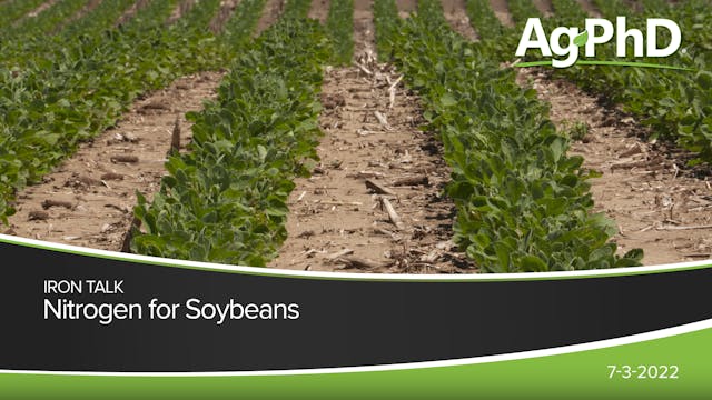 Nitrogen for Soybeans | Ag PhD