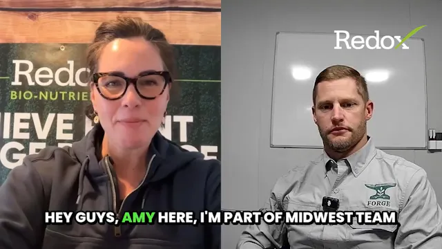 Forge Advising Rockford IL Redox deal...