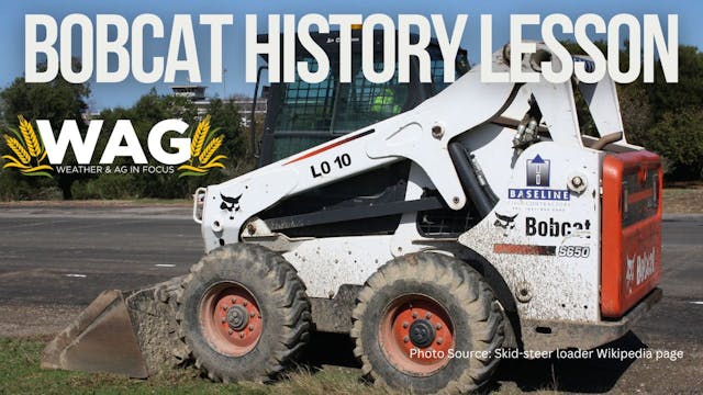 Bobcat History Lesson | WAG in Focus ...