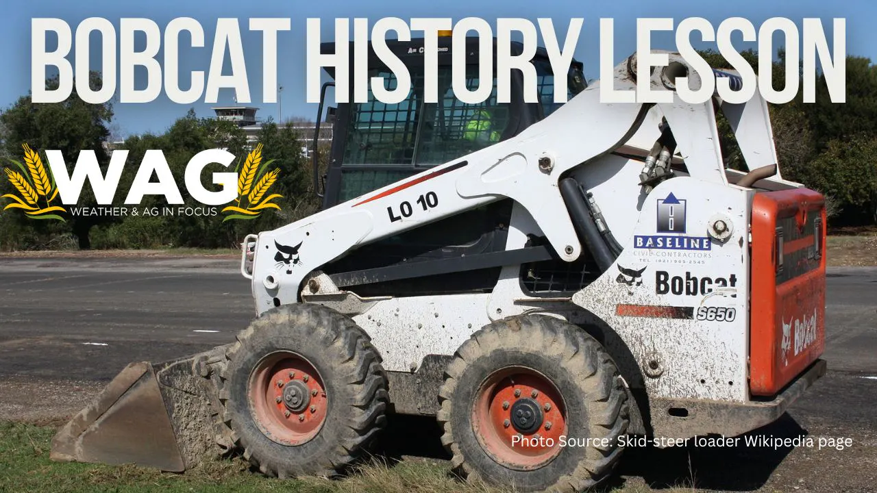 Bobcat History Lesson | WAG in Focus 12/21/23 - AcresTV