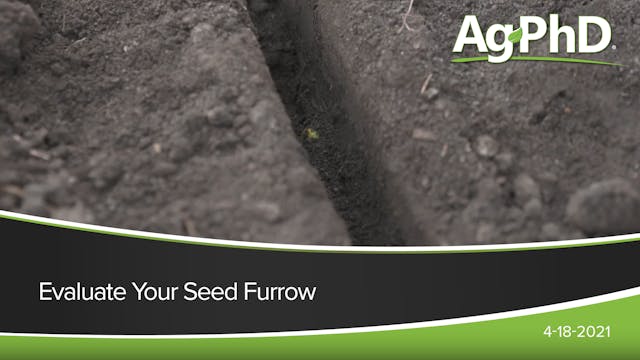 Evaluate Your Seed Furrow