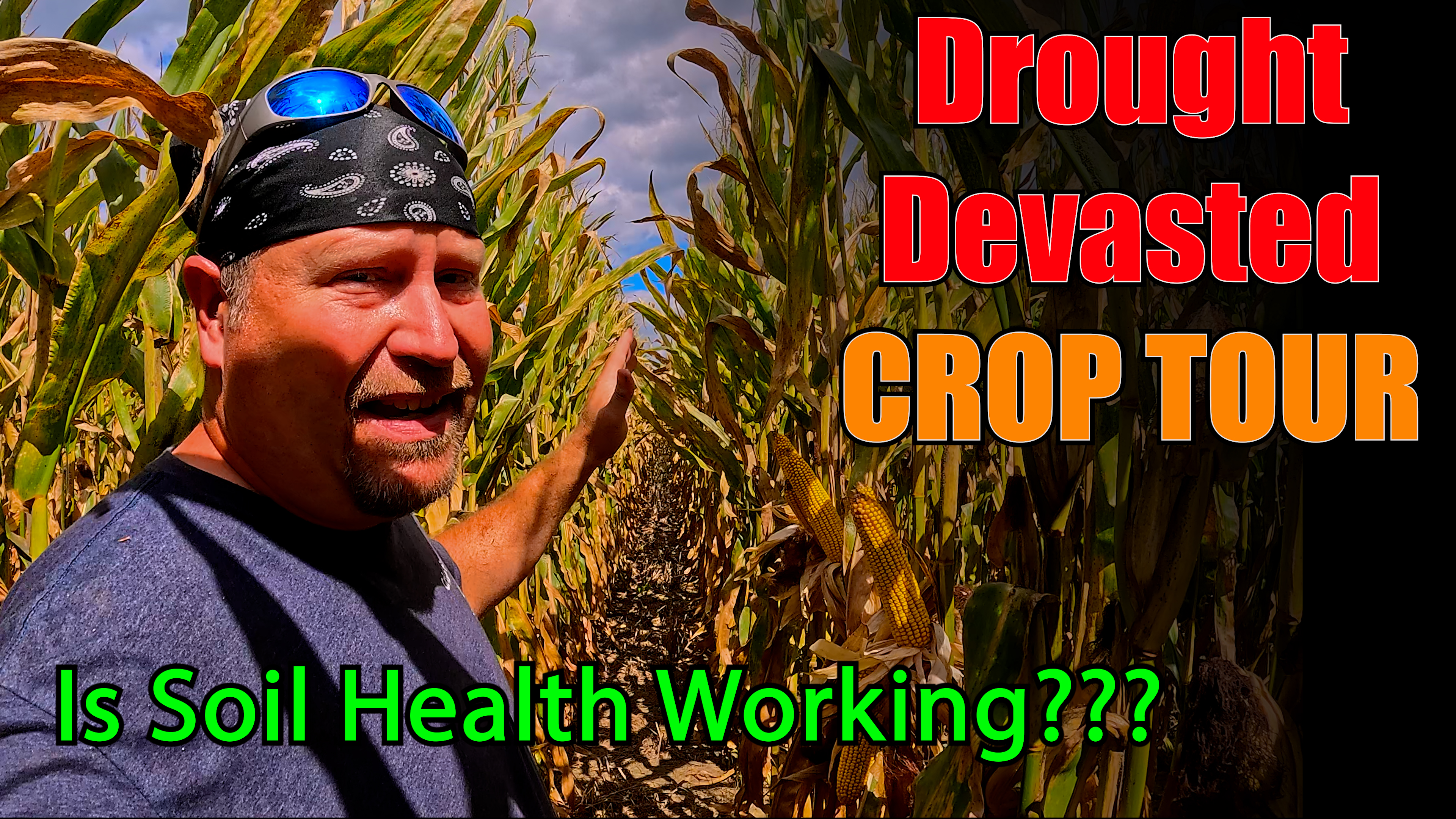 Are Soil Health Practices Finally Paying? 25' Drought Stress Tour | Griggs Farms