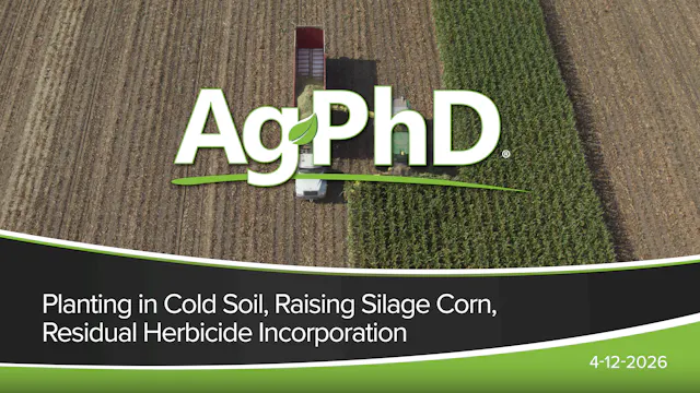 Planting in Cold Soil, Raising Silage...