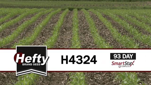 H4324 | 93-Day | SS