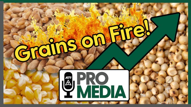 Grains on Fire! | ATI ProMedia 09/23/...