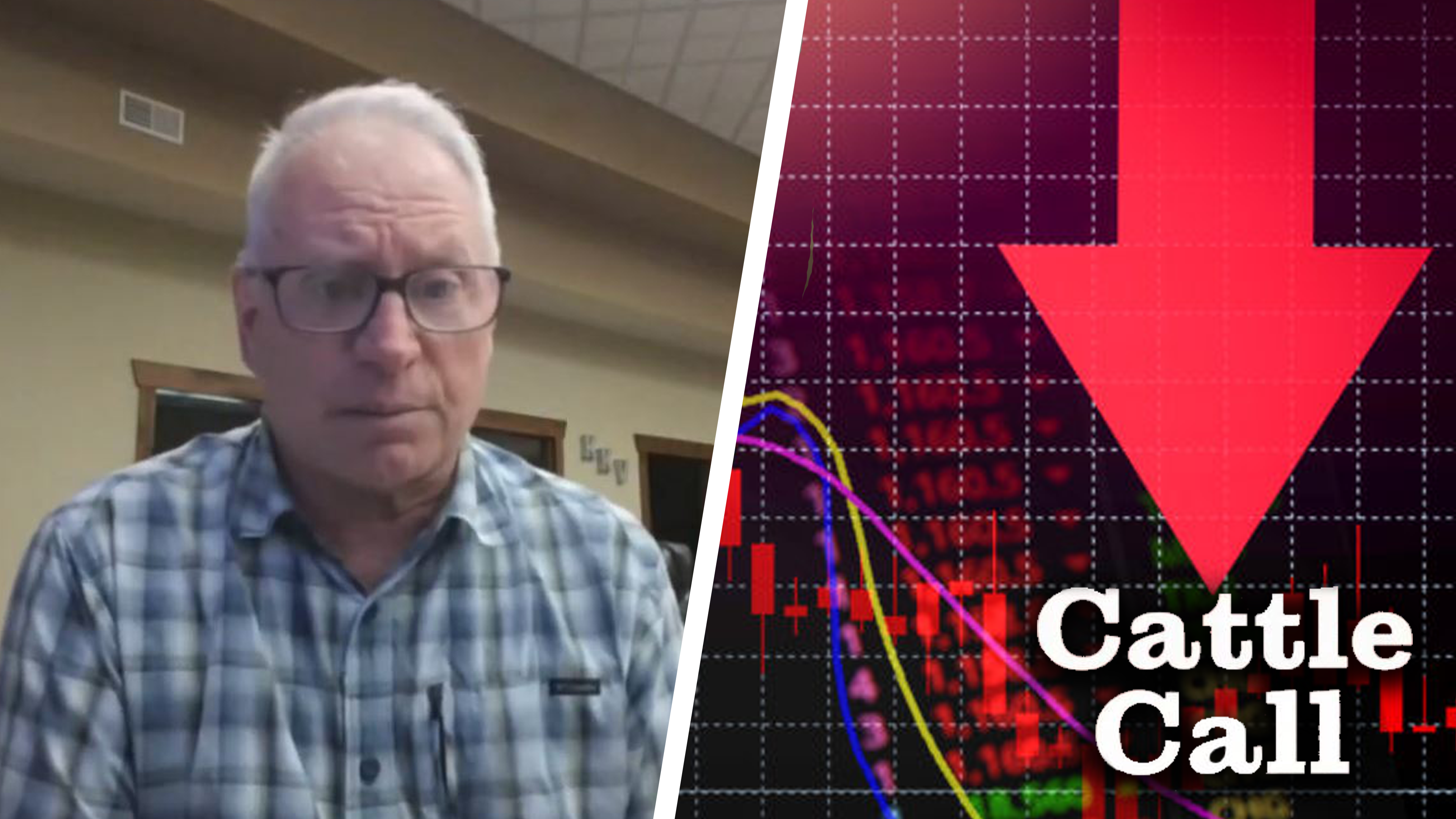 Cattle Market Melt Down | Cattle Call