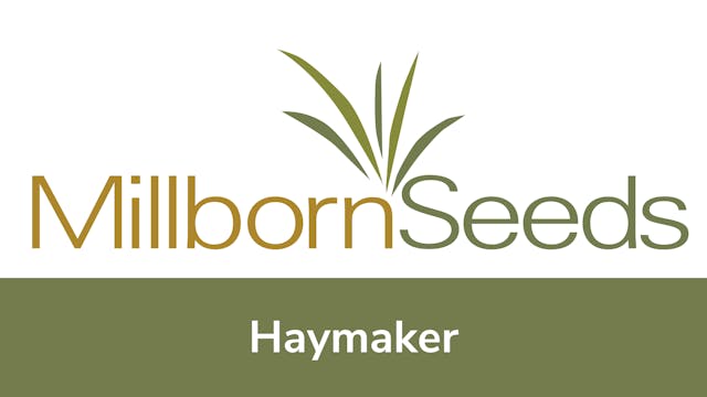 Millborn Seeds - Haymaker