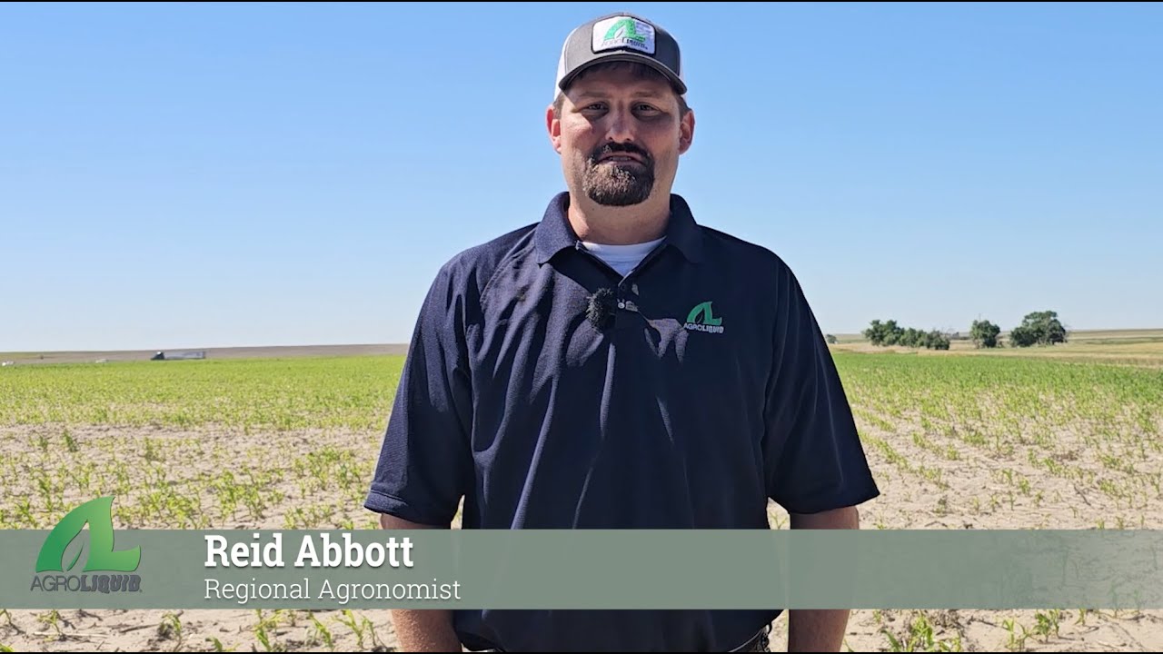 Iron Deficiency Chlorosis | AgroLiquid
