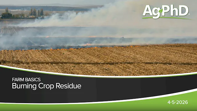 Burning Crop Residue | Ag PhD