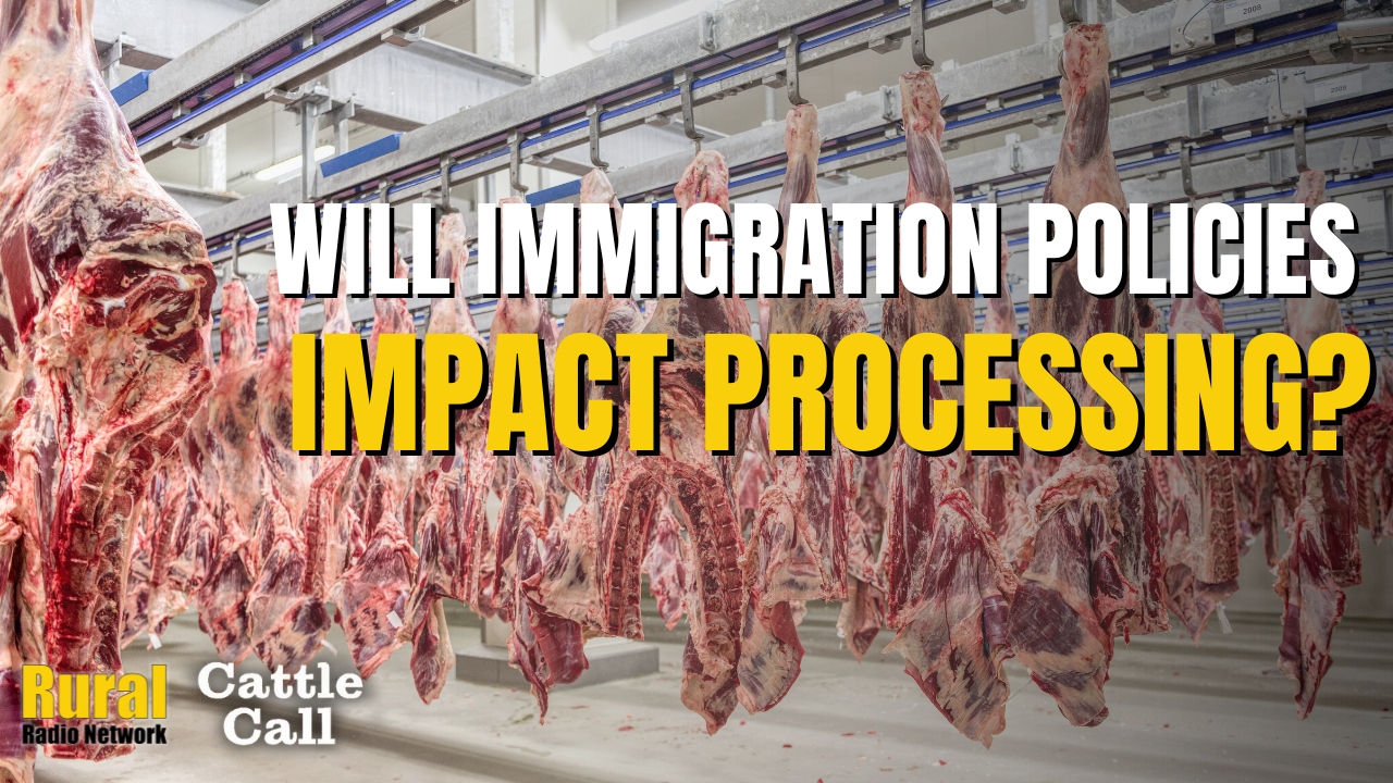 Caution Urged Amid Trump Administration’s Immigration Policies | Cattle Call