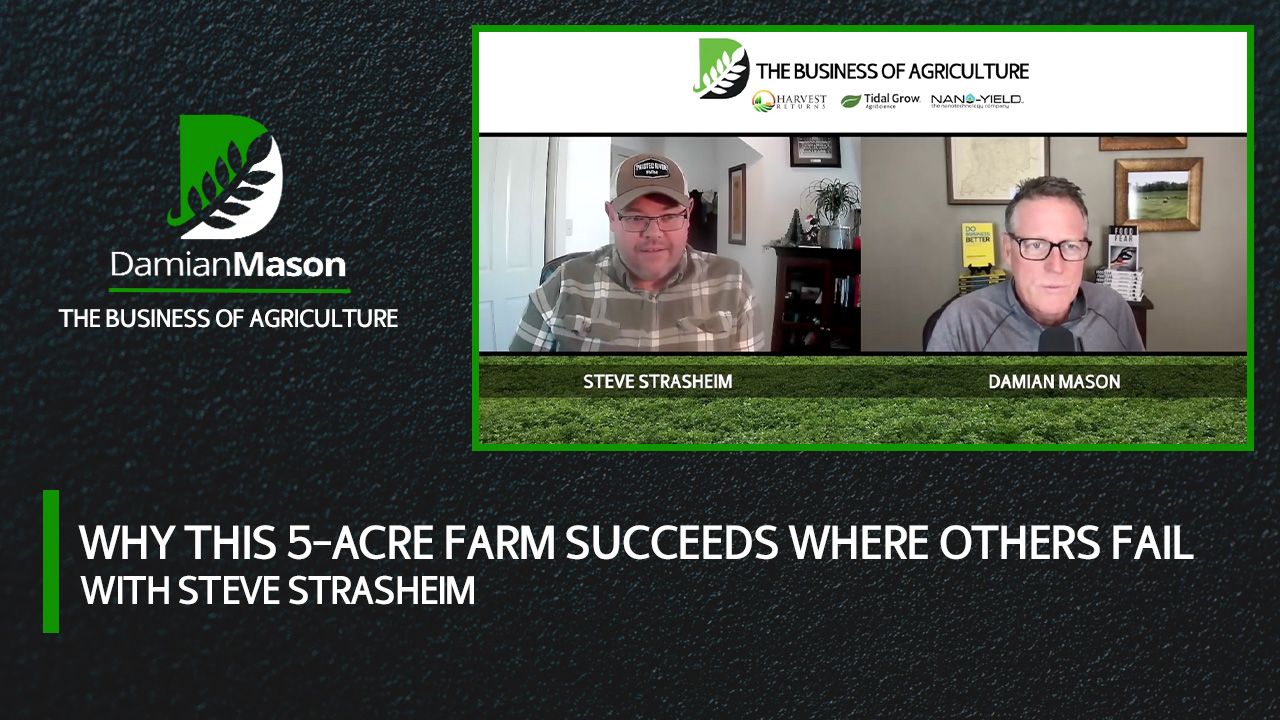 Why This 5-Acre Farm Succeeds Where Others Fail | Damian Mason Podcast