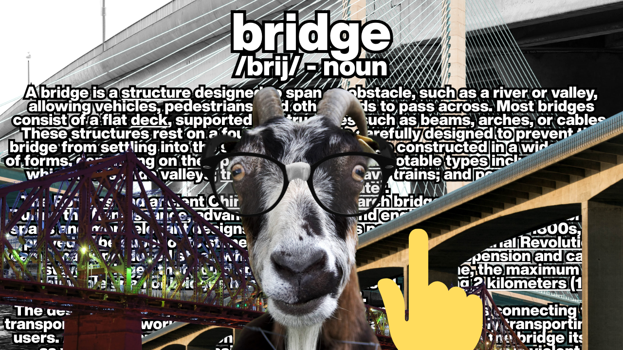 How Safe is that Bridge? | WAG in Focus 12-16-25