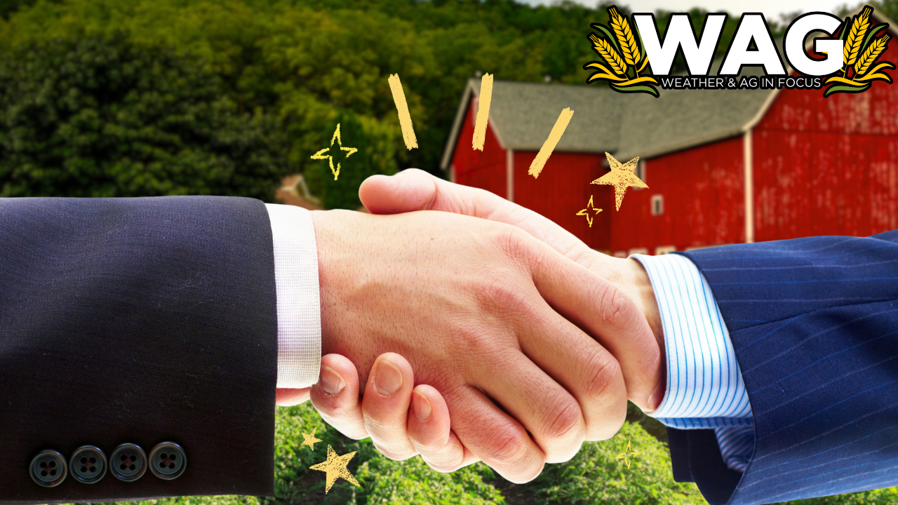 Farm Finance Insider | WAG in Focus 12-31-24