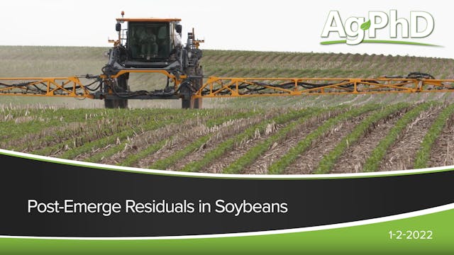 Post-Emerge Residuals in Soybeans