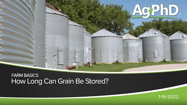 How Long Can Grain Be Stored? | Ag PhD