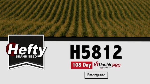 H5812 | 108-Day | VT2P 