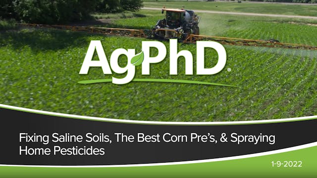 Fixing Saline Soils, The Best Corn Pr...