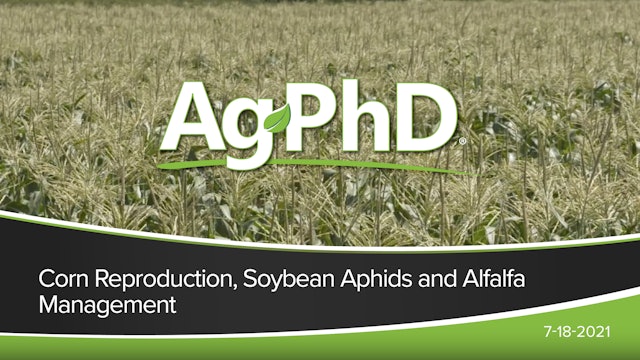 Corn Reproduction, Soybean Aphids, Alfalfa Management
