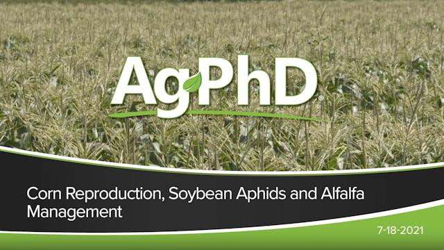 Corn Reproduction, Soybean Aphids, Al...