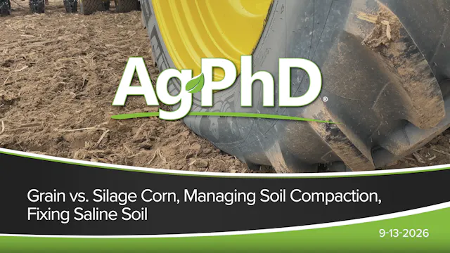 Grain vs. Silage Corn, Managing Soil ...