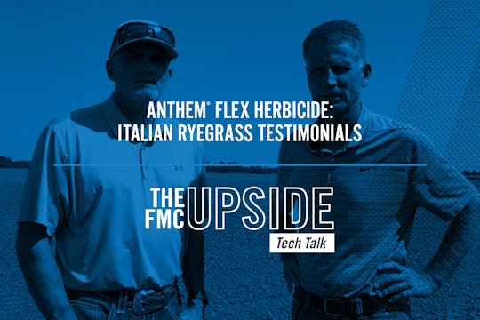 Anthem® Flex Herbicide: Italian Ryegr...